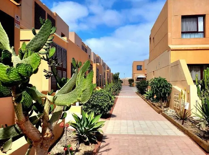Oro De La Bahia *