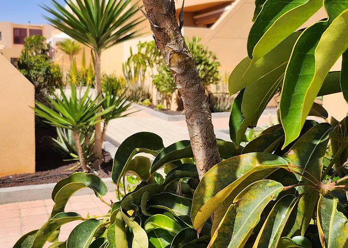 דירה Oro De La Bahia קלטה דה פוסטה